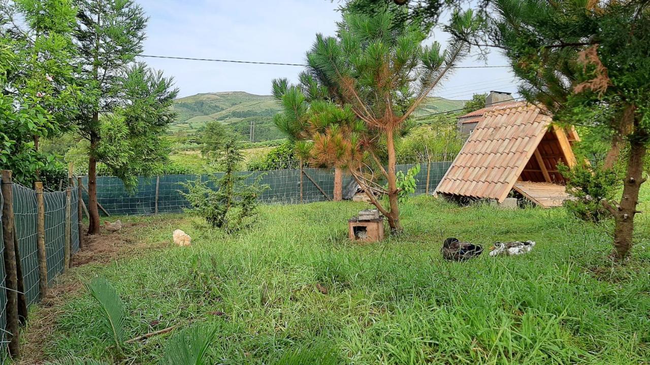 Quinta Das Primas Lomba  المظهر الخارجي الصورة